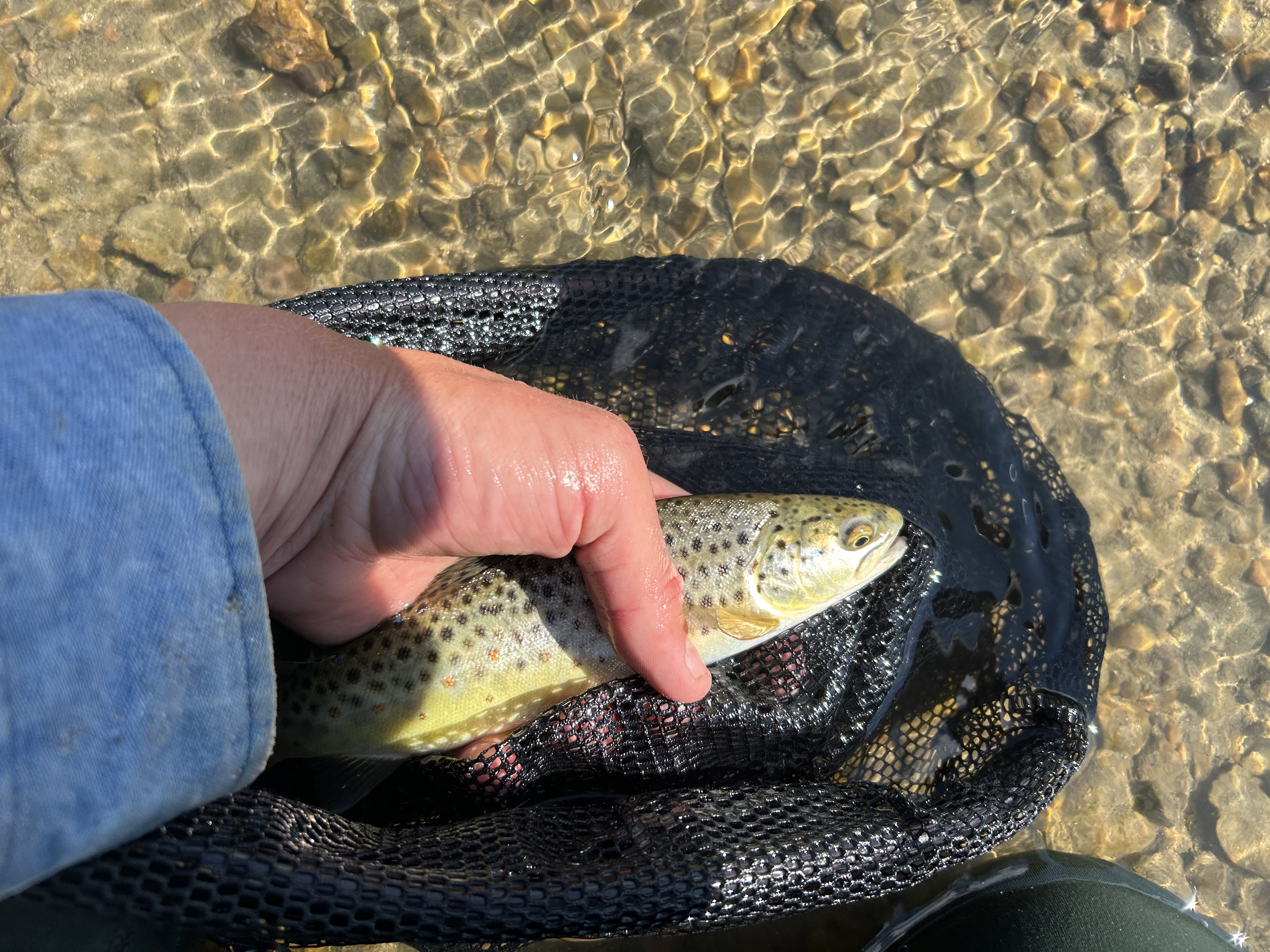 Environmental Research